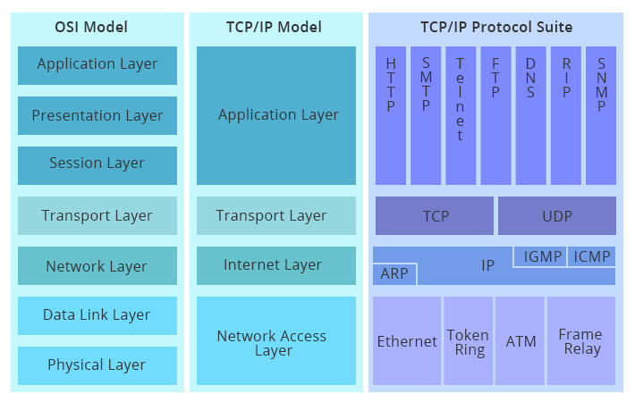 OSI Model, Protocols, 